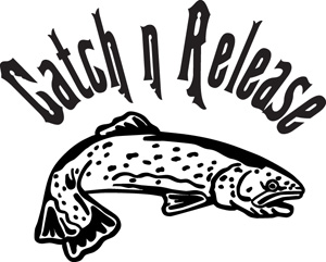 Catch and Release Trout 2